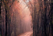 绍兴电视台报道“中国口述历史国际展诸暨抗战分会场”活动