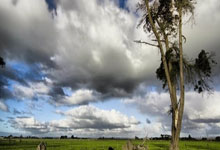 砥砺奋进铸辉煌 陇原扬帆谱新篇——中国人寿财险甘肃省分公司“十四五”时期高质量发展纪实