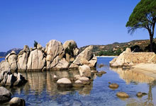 推进银发经济重点产业链发展空间广阔