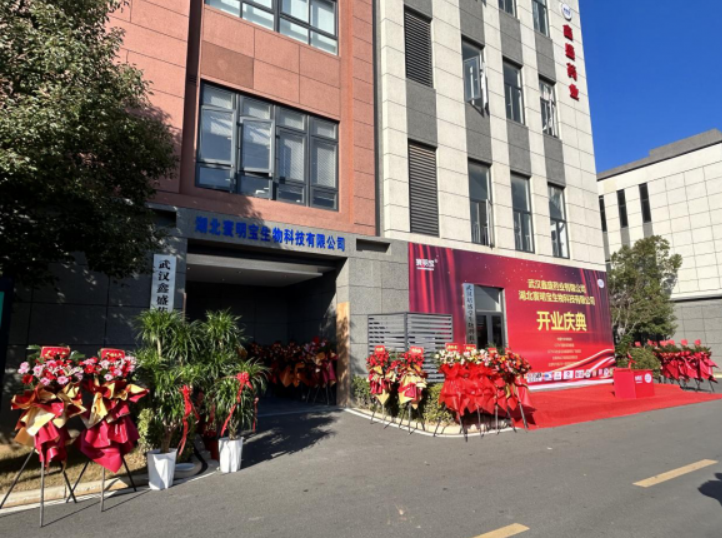 热烈祝贺寰明宝新厂房落成，开启品牌发展新篇章