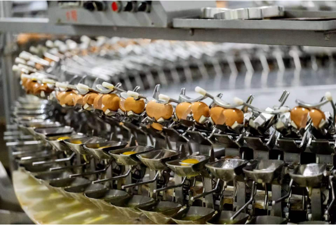 每小时打蛋14.4万枚 大连绿雪蛋品成为国内“最能打蛋”单体工厂