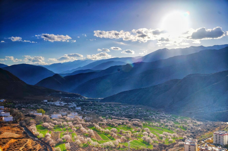 甘孜州得荣县：川西高原的“桃”醉春日 万亩桃林等你来赏