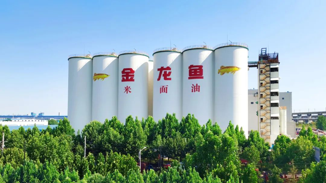 健康中国战略下，金龙鱼凭质量跃升引领产业变革