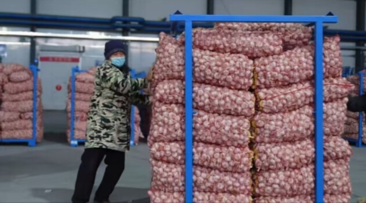 七朵集团：智慧农业浪潮中变革力量