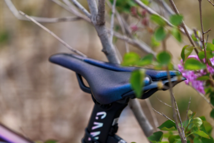 8条魔都春日骑行路线推荐，与维乐 Angel TT一起漫游春日